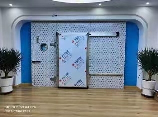 星空（中国）门样品展示