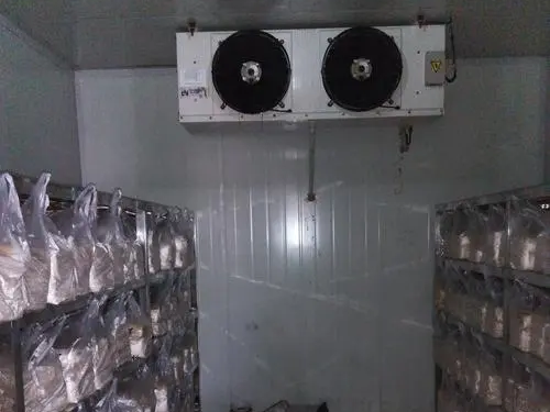 豆腐制品星空（中国）