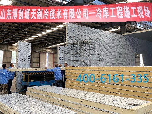 山东德州星空（中国）安装制造商